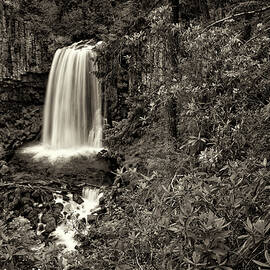 Warm Springs Falls - Sepia by Gary Thurman