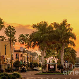Warm Sunset in Historic Venice, Florida by Liesl Walsh
