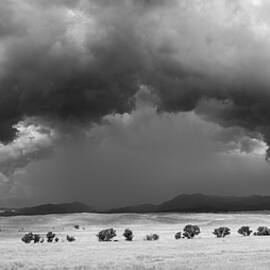 Warner Springs Storm and Tree Line by William Dunigan