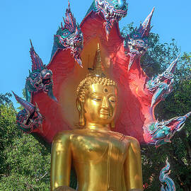 Wat Burapa Buddha Image on Naga Throne DTHU1398 by Gerry Gantt