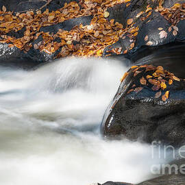 Water Stream in Autumn 1 by Helen Filatova