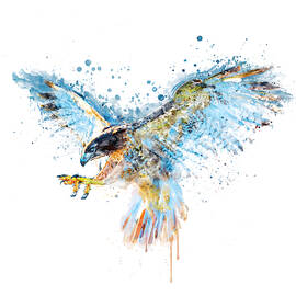 Watercolor Painting - Falcon Attack by Marian Voicu