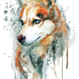 Watercolor Portrait of Red Siberian Husky by Marian Voicu