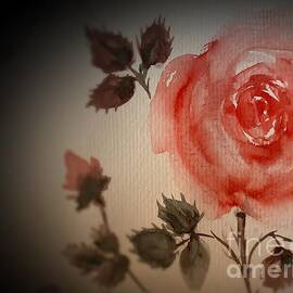 Watercolour Rose by Sharron Knight