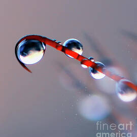 Waterdrop by Acryl Art Fotografie Kristin Pfeiffer