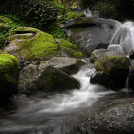 Waters of God by Paulo Viana