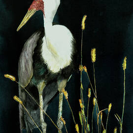 Wattled Crane and Reeds by Vicky Lilla