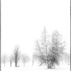 Weathering Winter #1 by Alan Brown