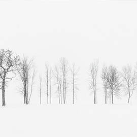 Weathering Winter #3 by Alan Brown