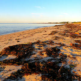 West Dennis Beach - Cape Cod by Dianne Cowen Cape Cod Photography