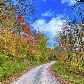 West Virginia Autumn Trail by Collin Westphal