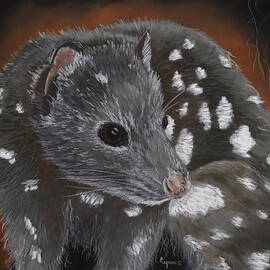 WESTERN QUOLL 1306 pastels by Dreamz -
