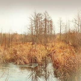 Wetland #3 by Slawek Aniol