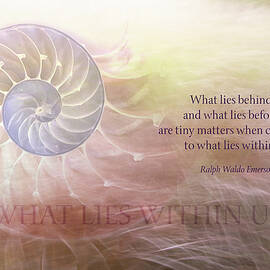 What Is Within Us by Terry Davis