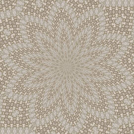 Wheat Flower Kaleidoscope by Marian Bell