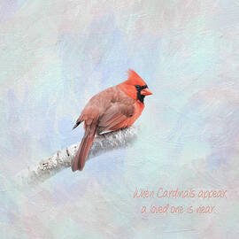 When Cardinals Appear - One by Patti Deters