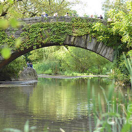 Where the Path Leads - Gapstow Bridge in Summer by Miriam Danar