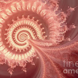 whimsical and nostalgic calming coral nautilus spiral fractal background soft dreamy faded orange pink abstract conic shell pattern by N Akkash