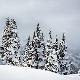 Whistler Blackcomb Mountains Snow Beauty by Pierre Leclerc Photography