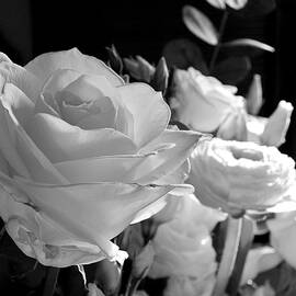 White Bouquet BW by Lynne Iddon