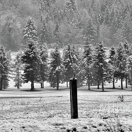 White Christmas by Beautiful Oregon