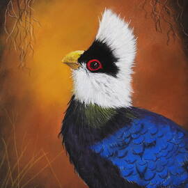WHITE CRESTED TURACO 1345 pastels by Dreamz -