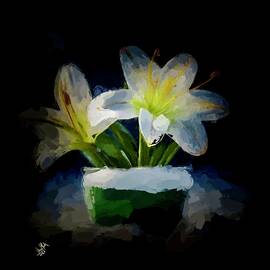  White Lillies on Black Background by Anas Afash