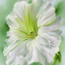 White Petunia on Celadon Green by MM Anderson