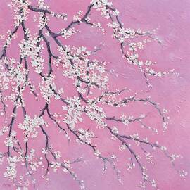 White Plum Blossom on dusky pink by Jan Matson