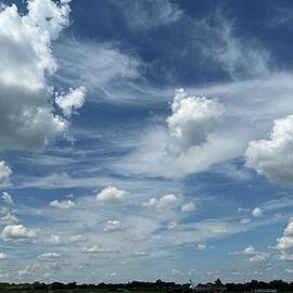 White Puffy Clouds by Diane Lindon Coy