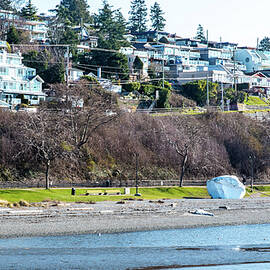 White Rock on White Rock Shore by Tom Cochran