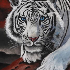 WHITE TIGER 1361 pastel by Dreamz -