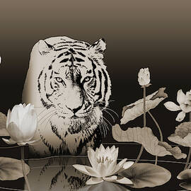 White Tiger Wading by M Spadecaller