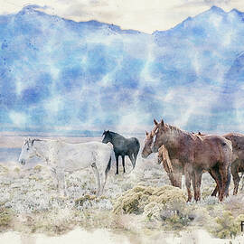 Wild Horse Band in the Desert by Fon Denton