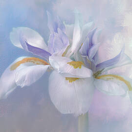 Wild Iris Painted  by Terry Davis