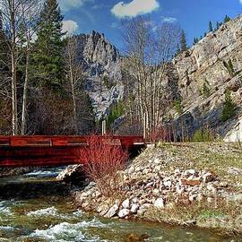 Wilderness Bridge  by Steve Brown