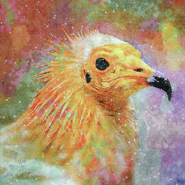Wildlife-Bird-Vulture-Colorful Watercolor Portrait by Shelli Fitzpatrick