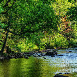 Williams River on a September Day by Thomas R Fletcher