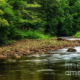 Williams River on a Summer Day by Thomas R Fletcher