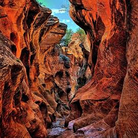 Willis Slot Canyon by Michael R Anderson