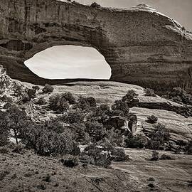 Wilson Arch in sepia by Michael R Anderson
