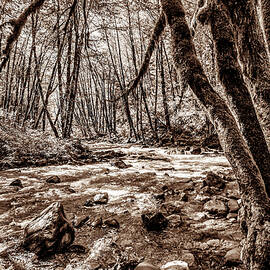 Wilson River Meets Elk Creek - Sepia by Jack Andreasen