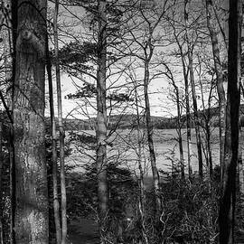 Winchester Lake BW by Karol Livote