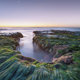 Windansea Beach Low Tide Moonset by William Dunigan