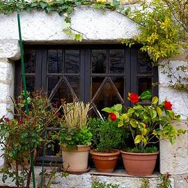 Window garden, Gourdon, France.