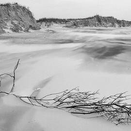 Windswept Beach Black and White by Greta Foose