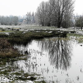 Winter Floodwater Reflections 1D by Lynne Iddon