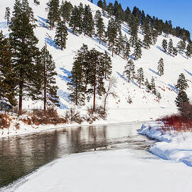 Winter hillside creek, Montana by Tatiana Travelways