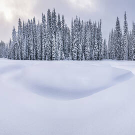 Winter in the Bitterroot Mountains 2 by Matt Hammerstein
