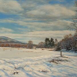 Winter In The Catskills by Barry DeBaun